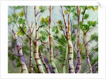 Spring Birches by Neela Pushparaj