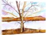 Trees Entwined by Neela Pushparaj