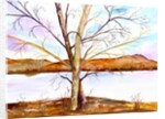 Trees Entwined by Neela Pushparaj