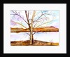 Trees Entwined by Neela Pushparaj