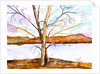 Trees Entwined by Neela Pushparaj