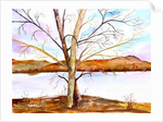 Trees Entwined by Neela Pushparaj