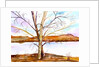 Trees Entwined by Neela Pushparaj