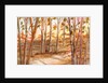 Tall Trees by Neela Pushparaj