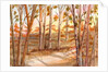 Tall Trees by Neela Pushparaj