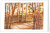Tall Trees by Neela Pushparaj