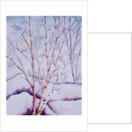 Winter Whites by Neela Pushparaj