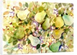 Pears, 2005 by Neela Pushparaj