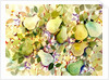 Pears, 2005 by Neela Pushparaj