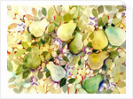 Pears, 2005 by Neela Pushparaj