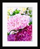 Pink Peony by Neela Pushparaj