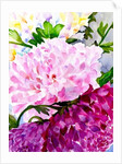Pink Peony by Neela Pushparaj