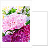 Pink Peony by Neela Pushparaj
