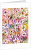Daisies Galore, 2005 by Neela Pushparaj