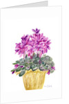 Cyclamen by Neela Pushparaj