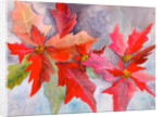 decmber delight by Neela Pushparaj