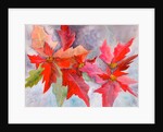 decmber delight by Neela Pushparaj