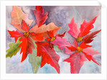 decmber delight by Neela Pushparaj
