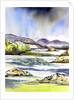 Storm Clouds by Neela Pushparaj