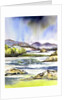 Storm Clouds by Neela Pushparaj