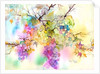 Fruit on the Vine by Neela Pushparaj