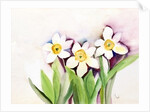 Three Daffodils, 2007 by Neela Pushparaj