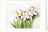 Three Daffodils, 2007 by Neela Pushparaj