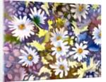 White Daisies by Neela Pushparaj