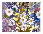 White Daisies by Neela Pushparaj