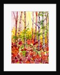 Autumn Woods, 2009 by Neela Pushparaj