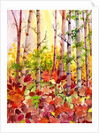 Autumn Woods, 2009 by Neela Pushparaj