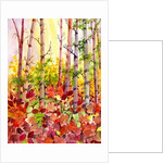 Autumn Woods, 2009 by Neela Pushparaj