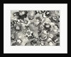 floral in black and white, 1998 by Neela Pushparaj