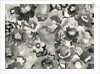 floral in black and white, 1998 by Neela Pushparaj