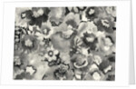 floral in black and white, 1998 by Neela Pushparaj