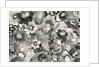 floral in black and white, 1998 by Neela Pushparaj