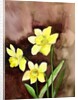 golden daffodils, 2002 by Neela Pushparaj