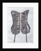 Corset, 1990 by Alan Byrne