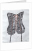 Corset, 1990 by Alan Byrne