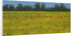 Yellow Field with Poppies, 2002 by Alan Byrne