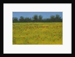 Yellow Field with Poppies, 2002 by Alan Byrne
