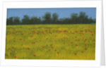 Yellow Field with Poppies, 2002 by Alan Byrne