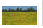 Yellow Field with Poppies, 2002 by Alan Byrne