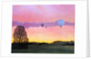 Balloon Race, 2004 by Ann Brain