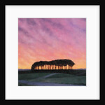 Distant Pines by Ann Brain