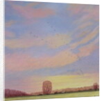 Homeward, 2004 by Ann Brain