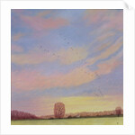 Homeward, 2004 by Ann Brain