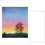 Path through the Pines, 2004 by Ann Brain