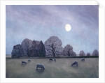 Moonlit Night, 2004 by Ann Brain