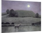 Horse in Moonlight, 2005 by Ann Brain